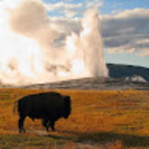 Meet your Posher, Marcia